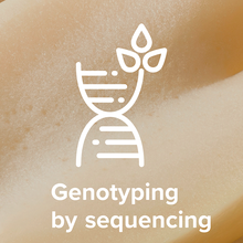 Genotyping-by-sequencing